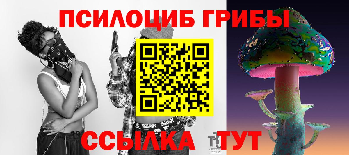 Галлюциногенные грибы Cubensis Находка