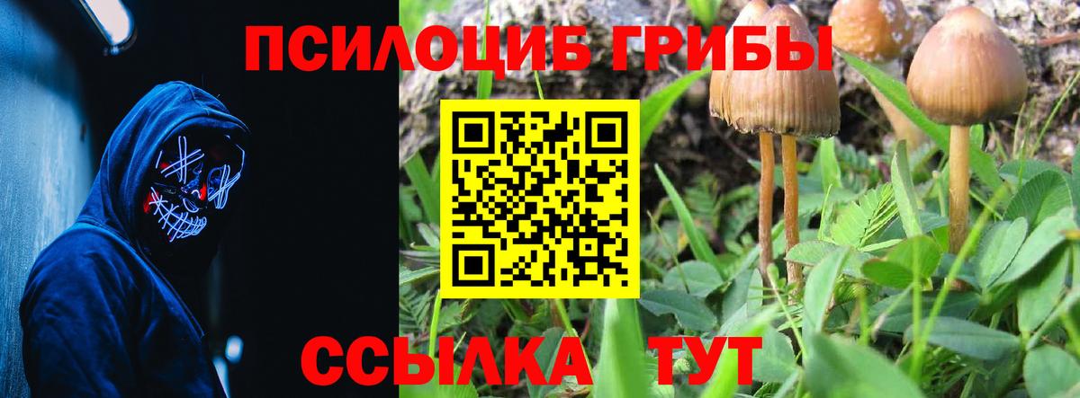 Псилоцибиновые грибы прущие грибы  Галлюциногенные грибы мухоморы  Вход с VPN  где продают наркотики  Находка 